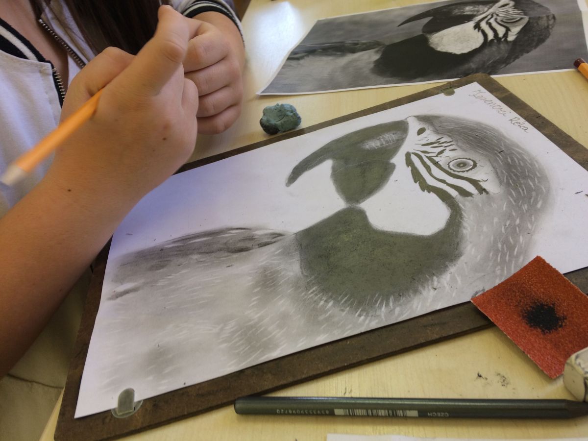 Jobb agyféltekés rajztanfolyam